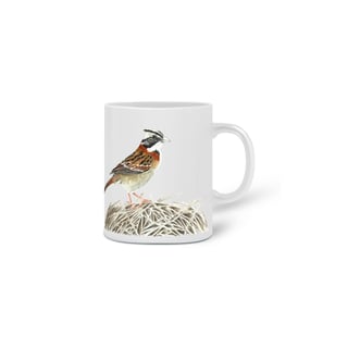 Nome do produtoCaneca Tico-tico