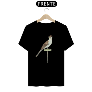 Nome do produtoMatitaperê, Camiseta Quality Unissex