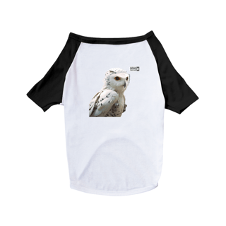 Camisa para Cachorro - Coruja 