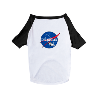 Delorean Nasa