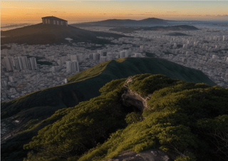 Nome do produto PAINEL NOVA SKIN 