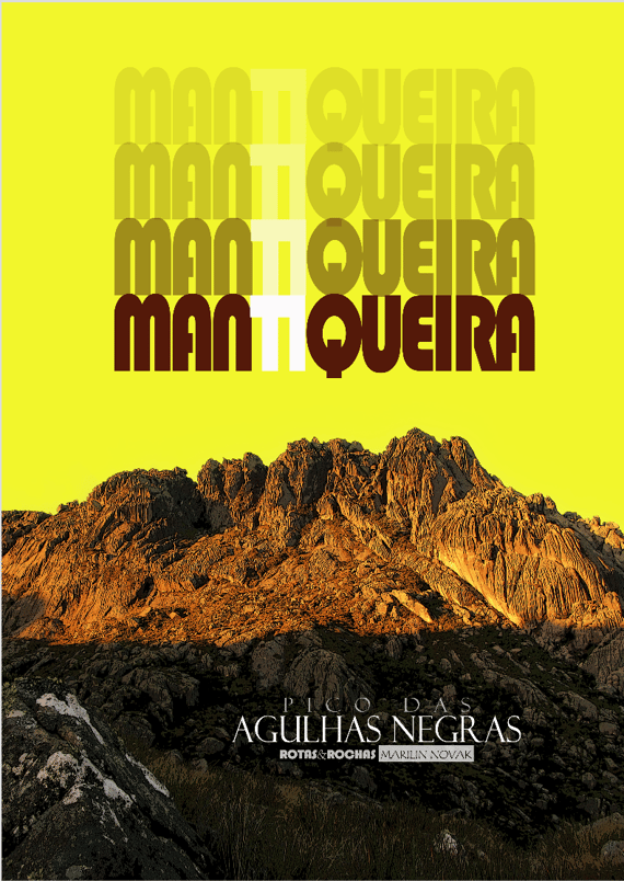 Pôster AGULHAS NEGRAS