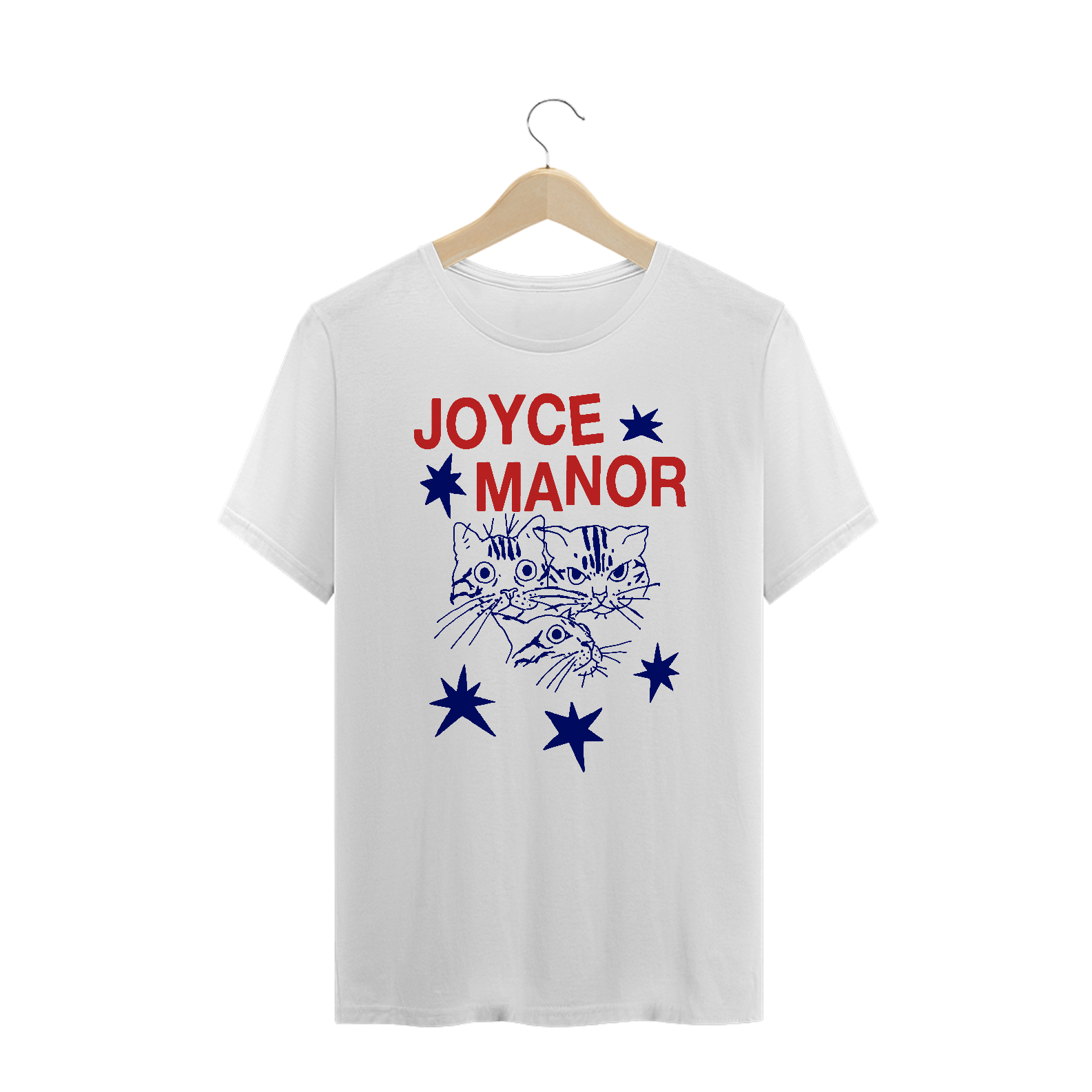 Joyce Manor 