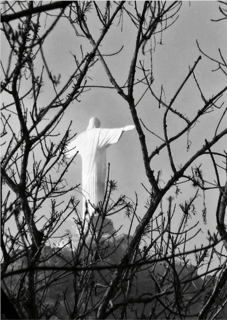 Nome do produto Jardim Botânico 02<br>Poster / Retrato