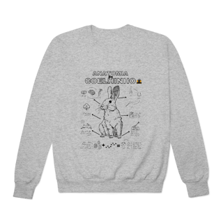 Nome do produto Moletom AnatomyRabbit