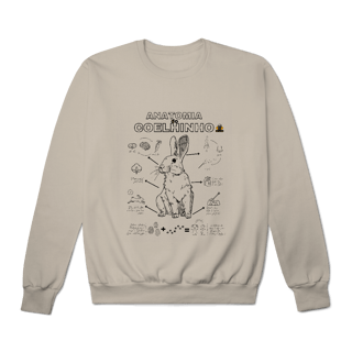 Nome do produto Moletom AnatomyRabbit