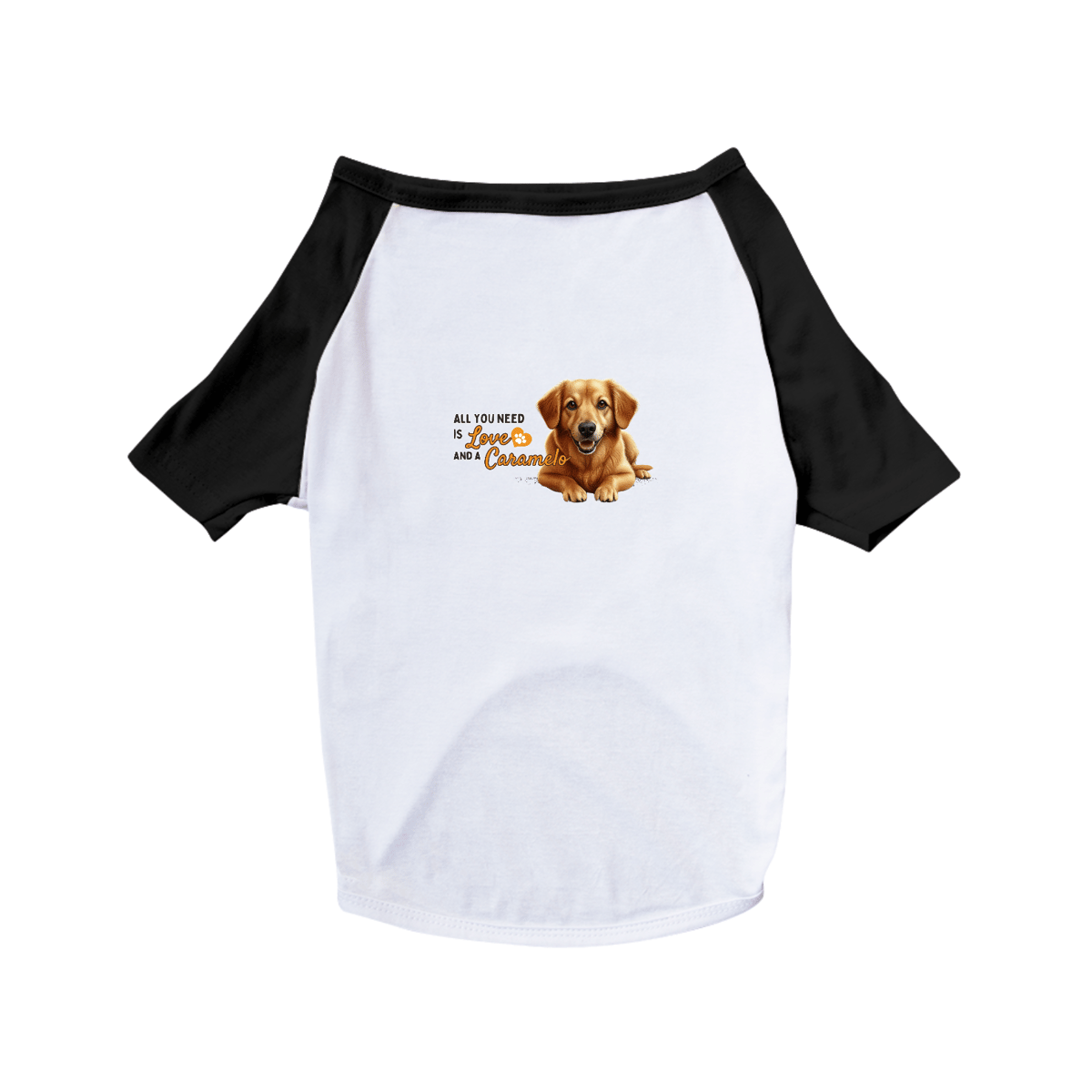 Nome do produto: T-Shirt Pet Dog Caramelo B