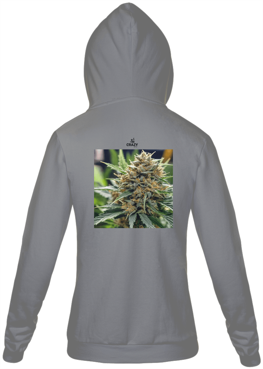Nome do produto: Moletom Dr. Crazy com ziper