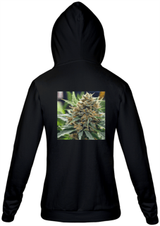 Nome do produto Moletom Dr. Crazy com ziper