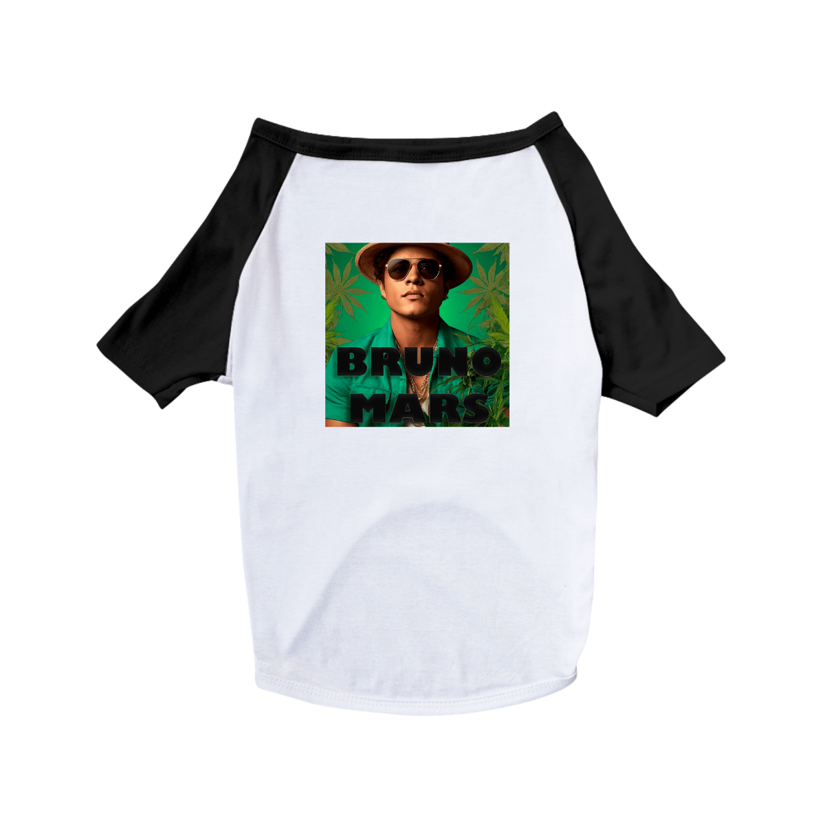 Nome do produto: Camiseta Pet Bruno Mars
