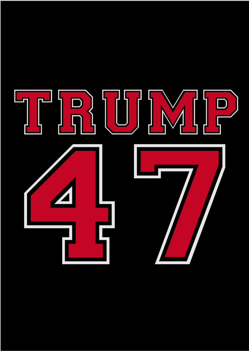 Poster Retrato Trump 47