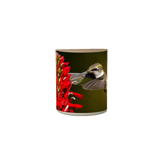 Nome do produto Caneca Magica Beija flor