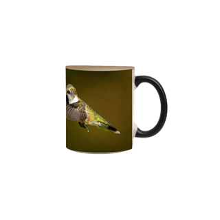 Nome do produto Caneca Magica Beija flor