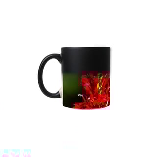 Nome do produto Caneca Magica Beija flor