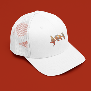 Nome do produtoBoné Hype