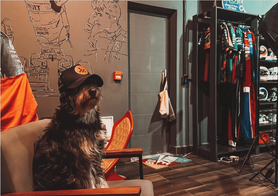 Poster Dog Motorsfera