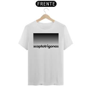 Nome do produto Quality - Abelhas Scaptotrigonas