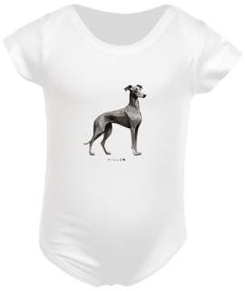 Nome do produto Body Confort Galgo Italiano