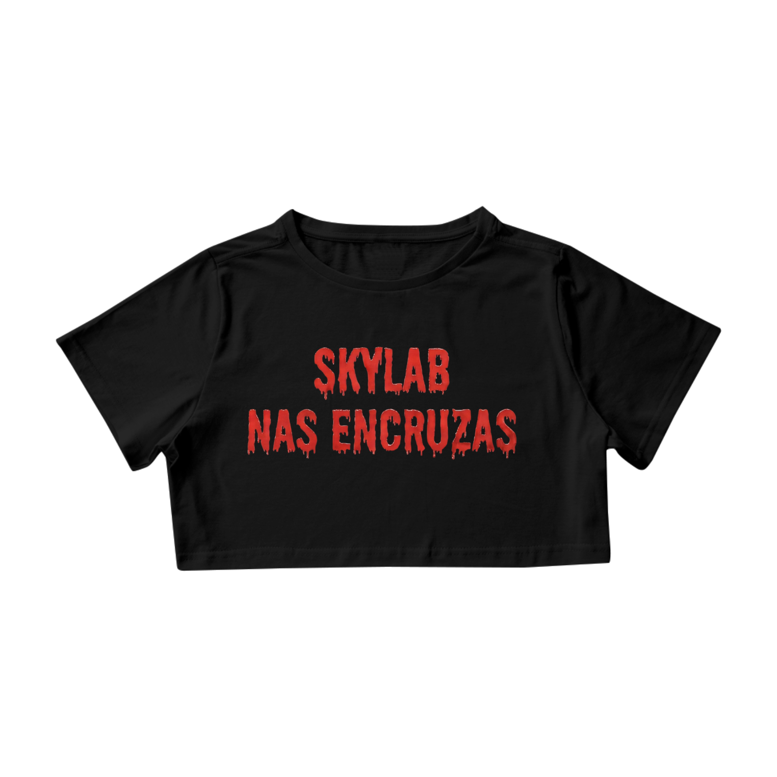 SKYLAB NAS ENCRUZAS