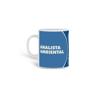 Nome do produto Analista Ambiental II