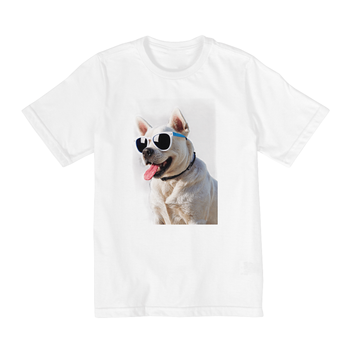 Nome do produto: Bonus Dog 01 - 10 a 14 anos