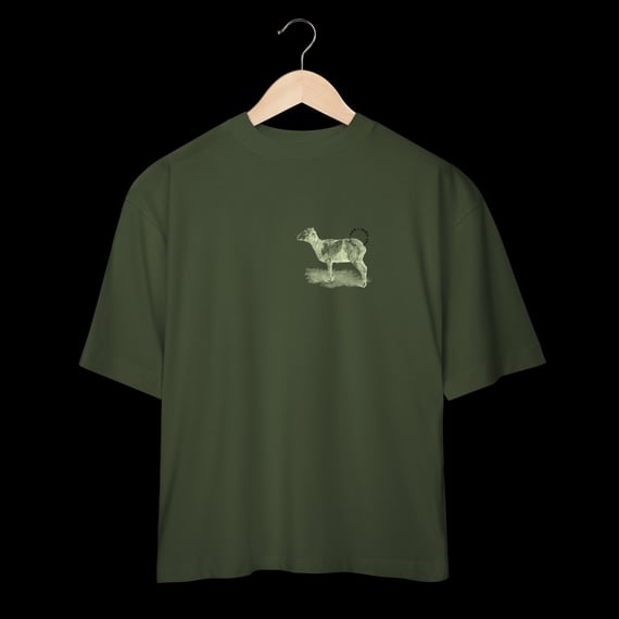 CVV - OVER COLOR