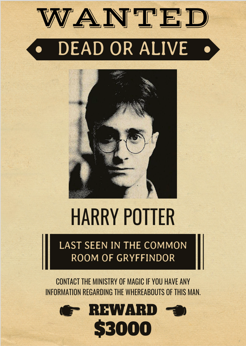 Nome do produto: Poster Harry Potter Wanted