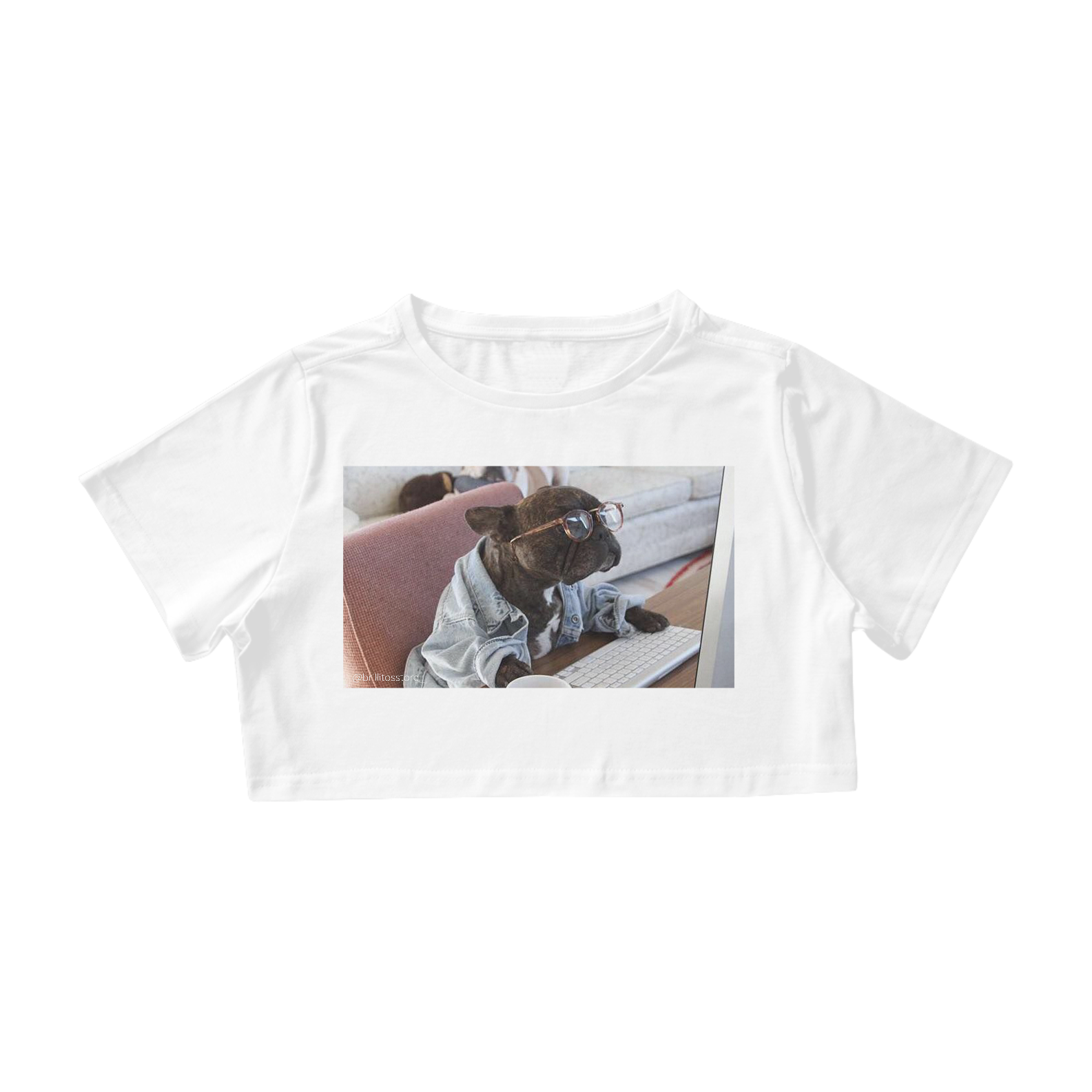 Cropped - BRANCO - Dog Work