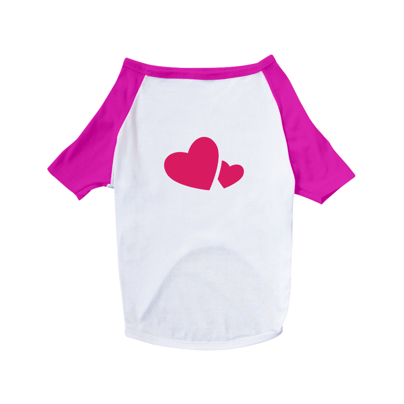 CAMISETA PET