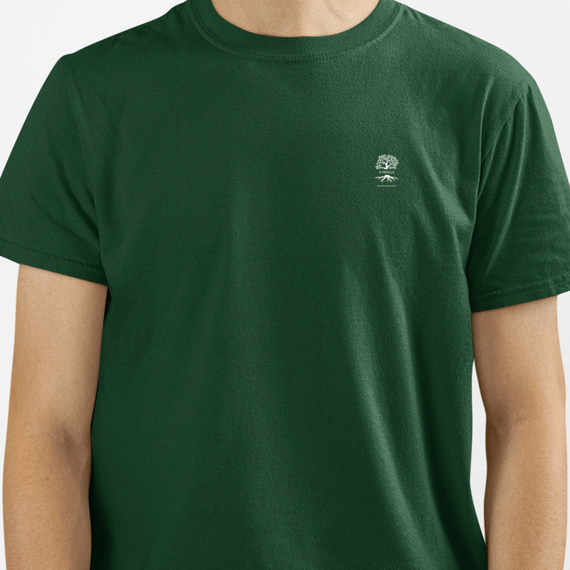 Minimal Raiz