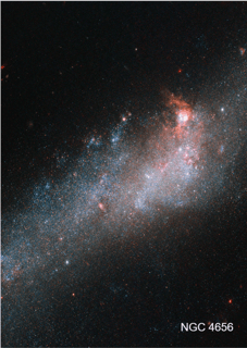 Nome do produtoPoster Retrato - Galáxia NGC 4656