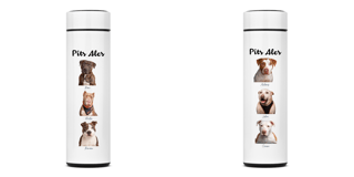 Garrafa térmica nº1 - Collab Pits Ales