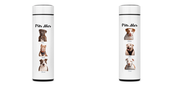 Garrafa térmica nº1 - Collab Pits Ales