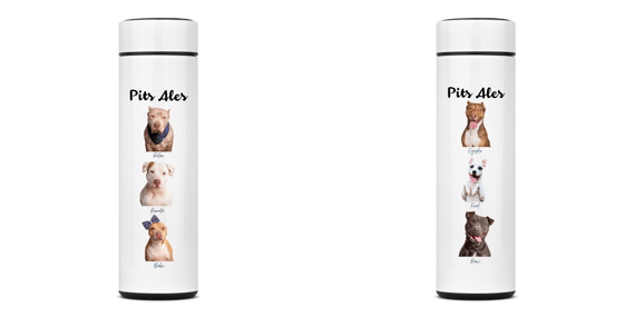 Garrafa térmica nº2 - Collab Pits Ales