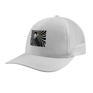 Nome do produtoBoné Carcará