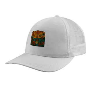 Nome do produtoBoné Vidral