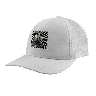 Nome do produtoBoné Carcará