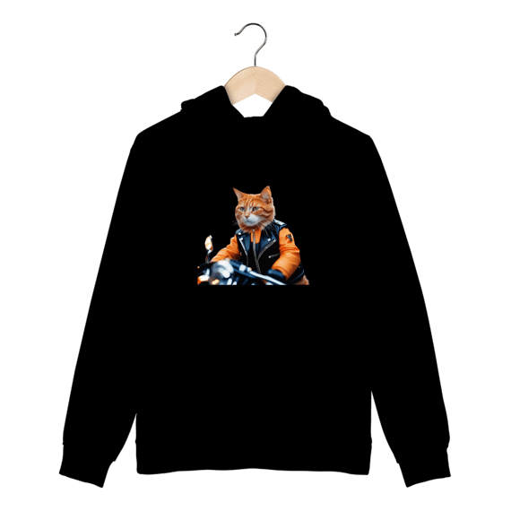Gato Motoqueiro
