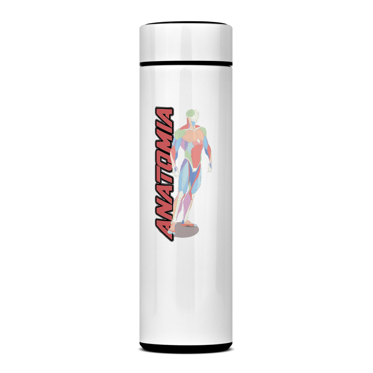 Nome do produto: Anatomia