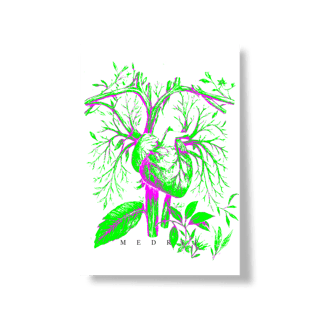 Nome do produto 1FOLH2POST