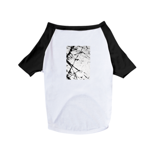 Nome do produto T-shirt Pet Expressionismo KF - 02