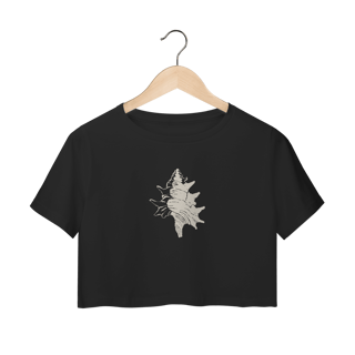 Maré Antiga - Quality