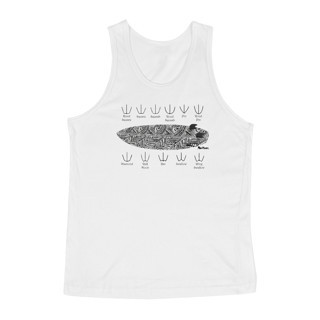 Regata - Rabetas Pranchas Surf