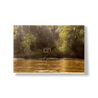 Nome do produto Morada Amazônica