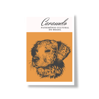 Nome do produto Poster Caramelo Patrimônio brasileiro