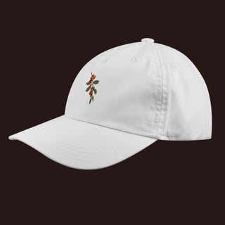 Nome do produto Boné Essência Mineira