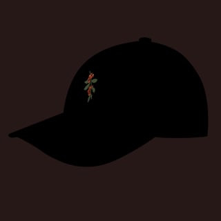 Nome do produto Boné Essência Mineira