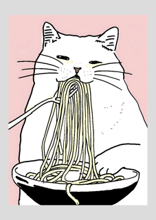 Nome do produto Cat Cook