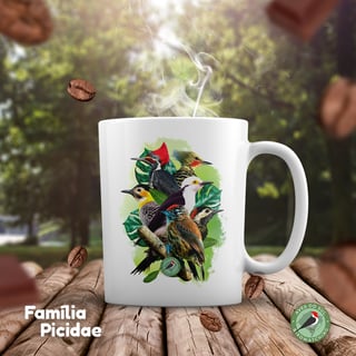 Família Picidae -  Caneca