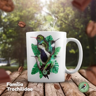 Família Trochilidae - Caneca